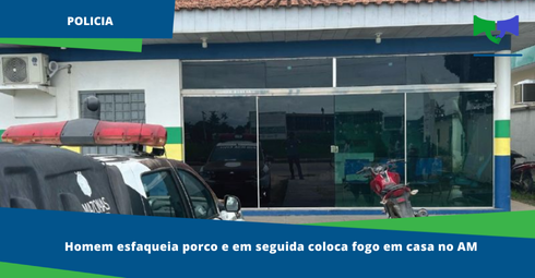 PARA O SITE (6)